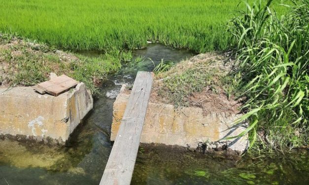 SAN RAFFAELE CIMENA – Multata un’azienda agricola che prelevava acqua dal Po senza autorizzazione