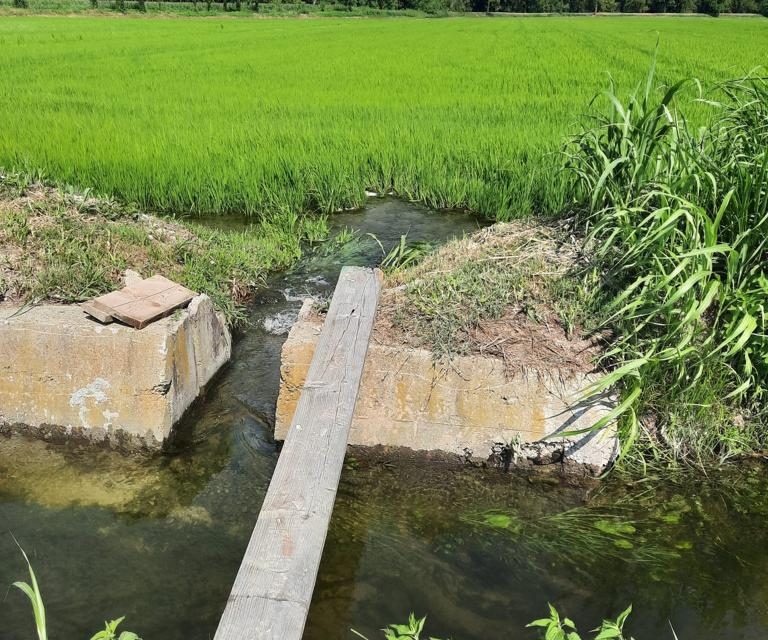 SAN RAFFAELE CIMENA – Multata un’azienda agricola che prelevava acqua dal Po senza autorizzazione