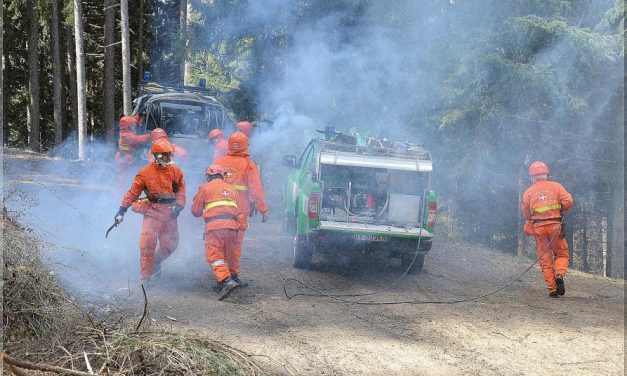 La Regione Piemonte invia due colonne mobili in Calabria e Sicilia per combattere gli incendi boschivi
