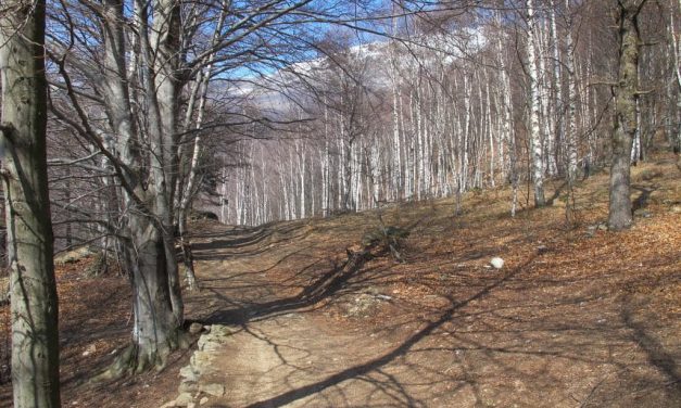 IVREA – Recuperato il corpo di uomo stroncato da malore.