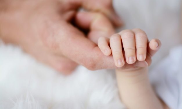 BASSO CANAVESE – Benvenuto alla vita alla Reggia