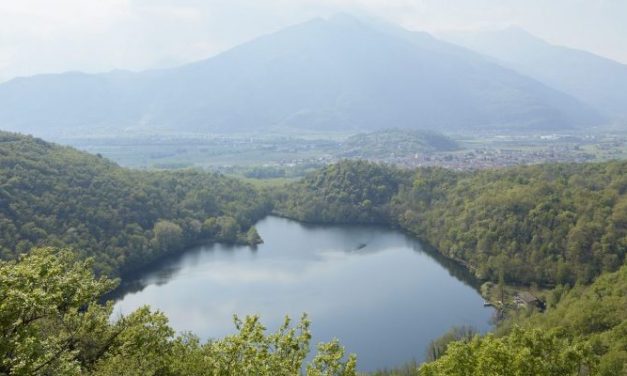  CHIAVERANO – Il Parco dei 5 Laghi e la questione cinghiali