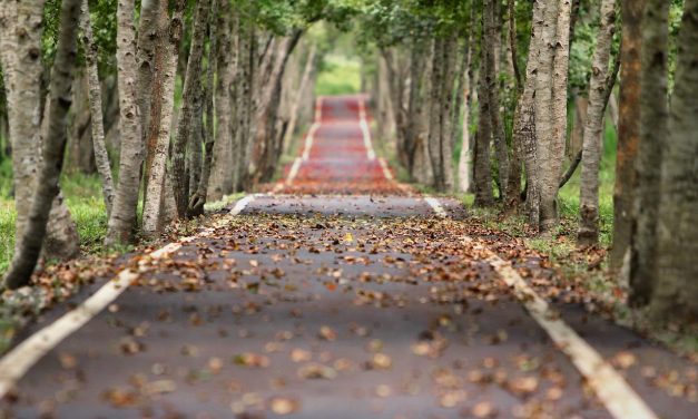 Le vacanze vacanti, il pedale energetico e l’autunno alle porte