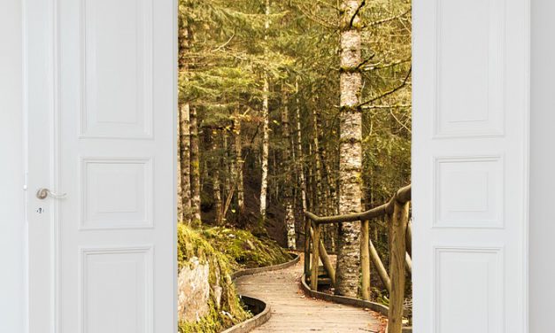 LA CASA DALLE PORTE APERTE