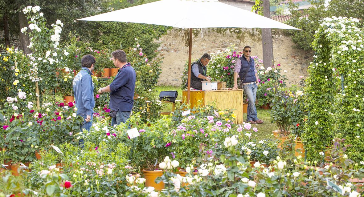 CANAVESE – Gli appuntamenti del weekend
