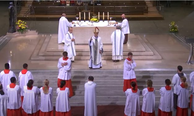 IN DIRETTA DA LOURDES – La S.Messa presieduta da Mons. Edoardo Aldo Cerrato