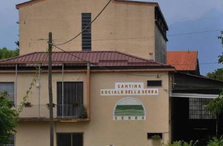 PIVERONE – Cantina della Serra: soddisfazioni dalla vendemmia 