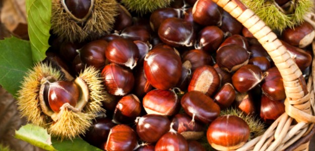 PIVERONE – Al via la 45ª edizione della Festa dla Castigna