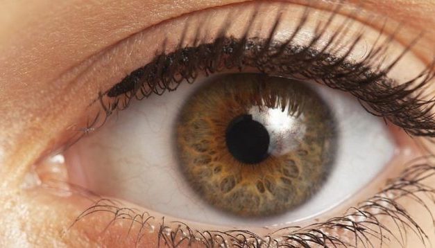 TORINO – ACCADEMIA DI MEDICINA – Riunione scientifica sul tema “Il distacco di retina”