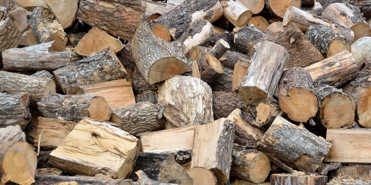 “La legna scalda tre volte”
