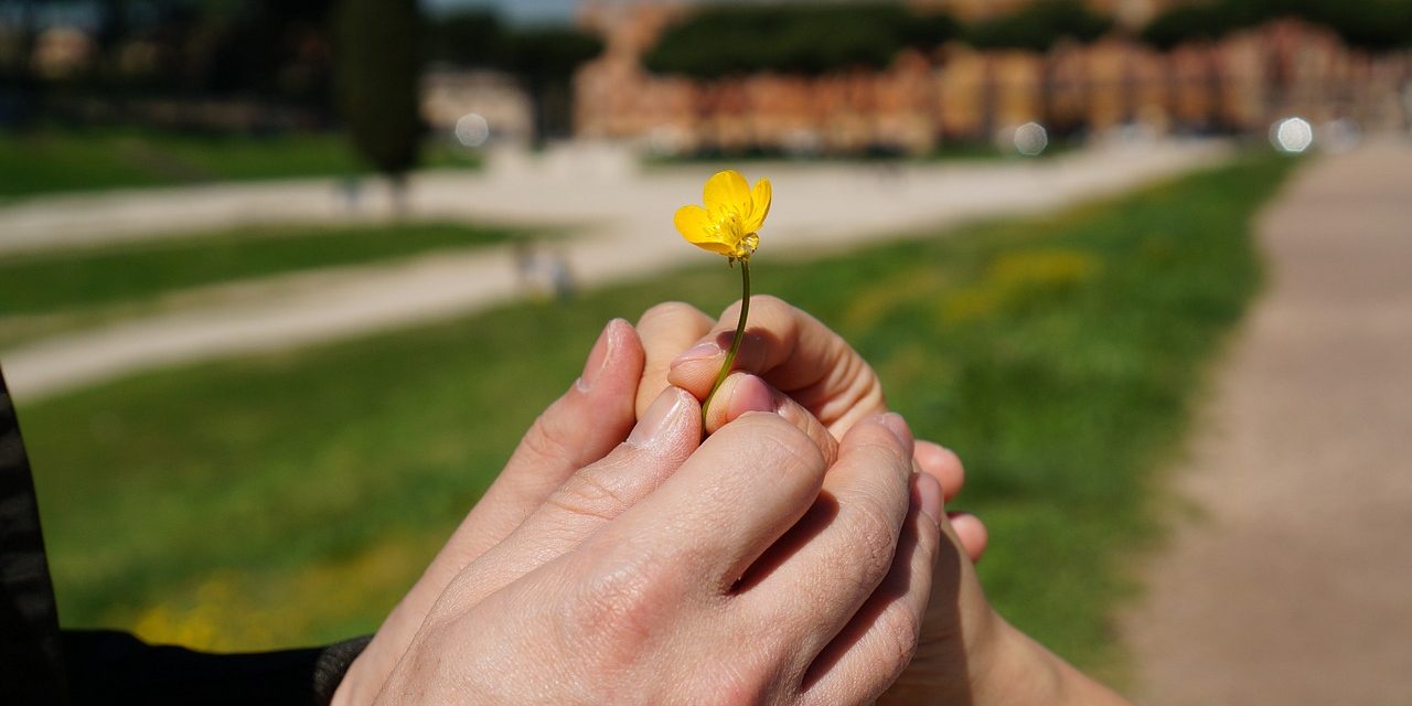 PILLOLE DI MISSIONARIETA’ – La promessa