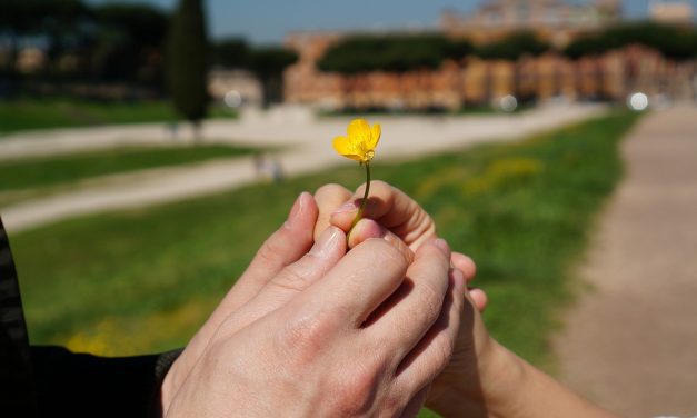 PILLOLE DI MISSIONARIETA’ – La promessa