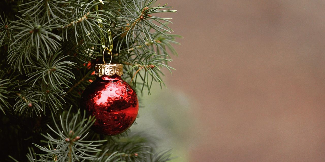 IL DITO NELLA PIAGA – Un albero di Natale e una molatrice da banco