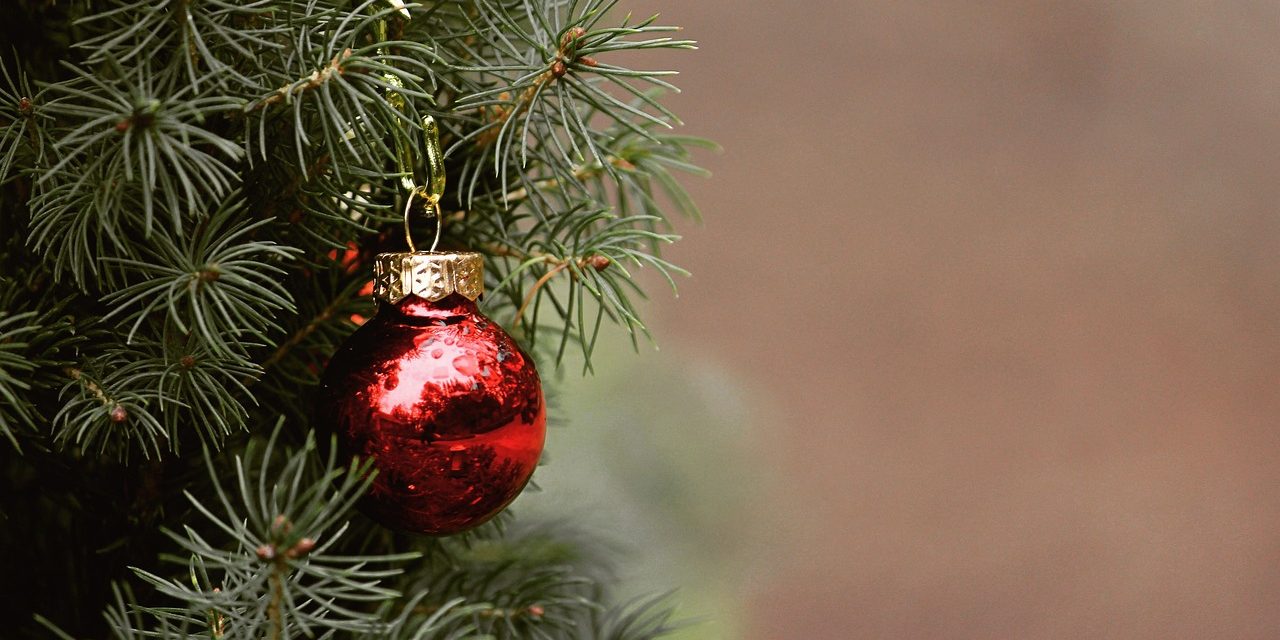 IL DITO NELLA PIAGA – Un albero di Natale e una molatrice da banco