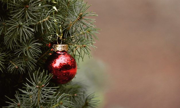 IL DITO NELLA PIAGA – Un albero di Natale e una molatrice da banco