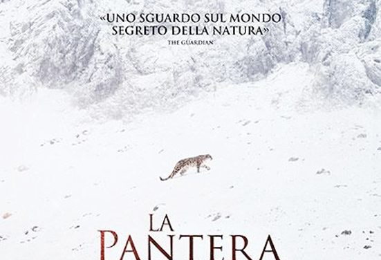 DIETRO LO SCHERMO – La pantera delle nevi