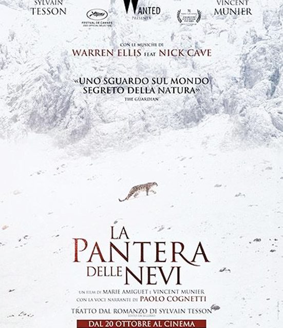 DIETRO LO SCHERMO – La pantera delle nevi