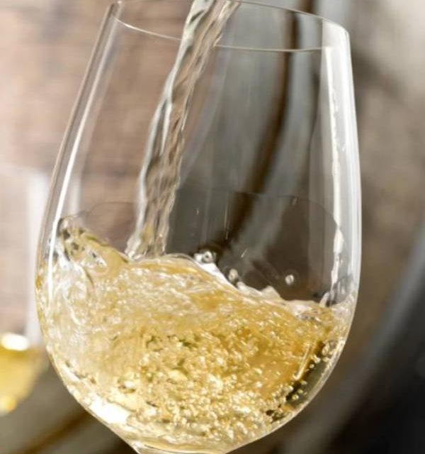 CALUSIESE – “Una montagna di gusto” visita alla cantina Gnavia