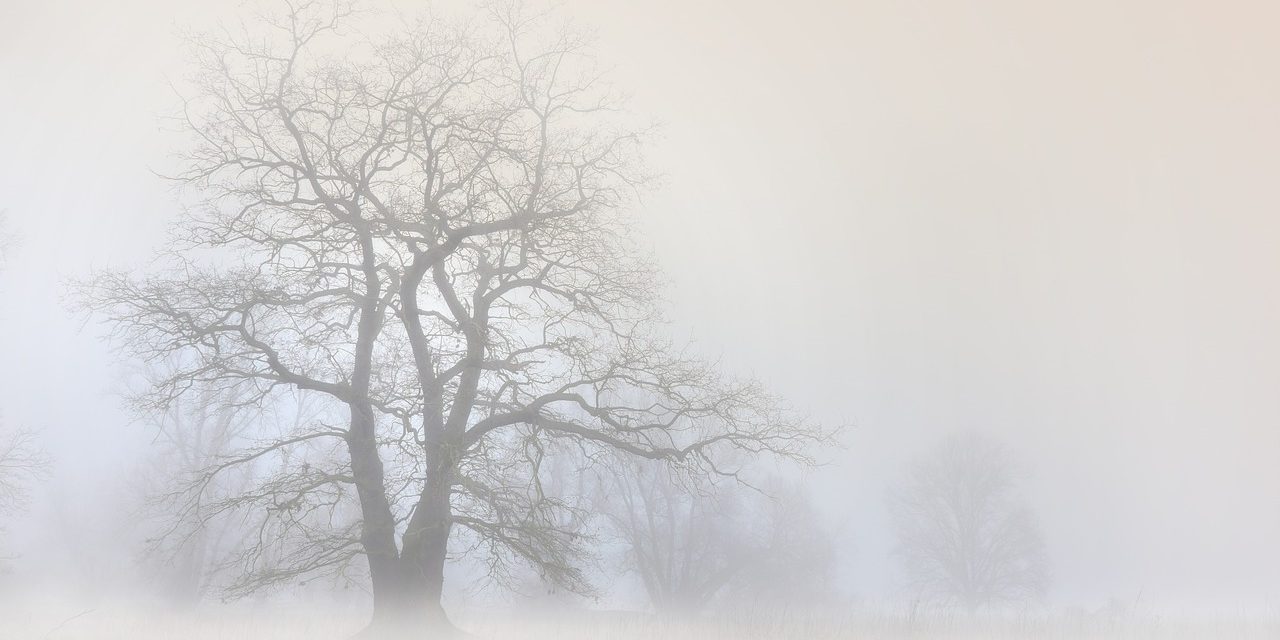 La nebbia al solstizio d’inverno