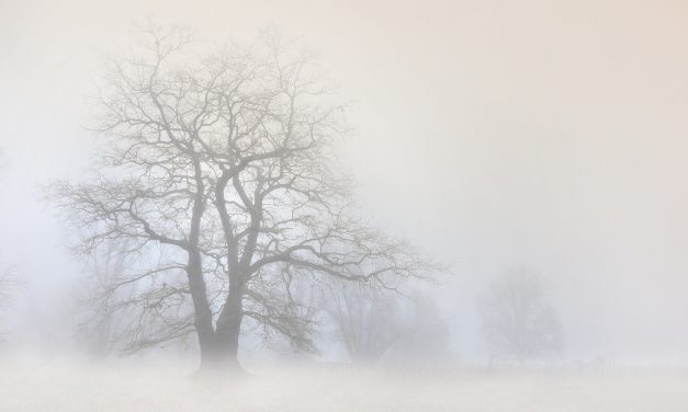 La nebbia al solstizio d’inverno