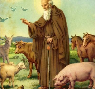 CASTELROSSO – Mondo agricolo in festa per festeggiamenti per Sant’Antonio Abate