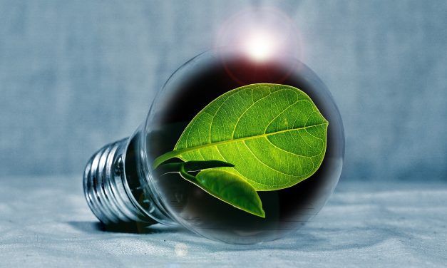 Risparmiare energia serve davvero a tutti