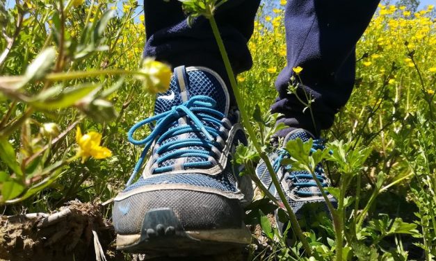 MONTANARO – Cresce il Gruppo di Cammino