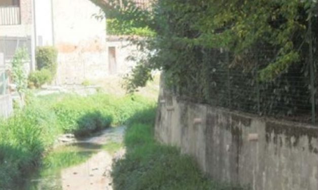 SAN BENIGNO – Pulizia del Rio Baudino