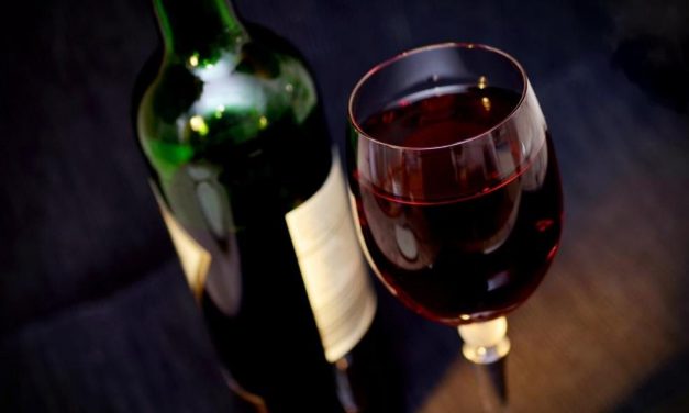 SALONE DEL VINO 2023 – Torino mette in mostra le eccellenze regionali
