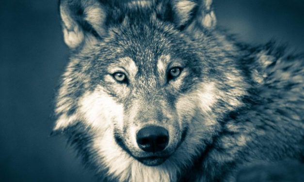 UNITRE CALUSO – Proseguono ad aprile le conferenze