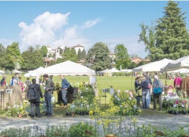 CARAVINO – Al via la 31ª edizione dell’annuale “Tre giorni per il giardino” al Castello e Parco di Masino