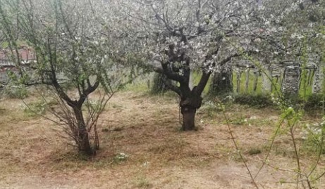 CAREMA – Gli agricoltori: “Si semina nella polvere!”