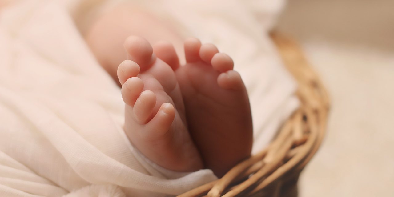 La “culla della vita” per Enea