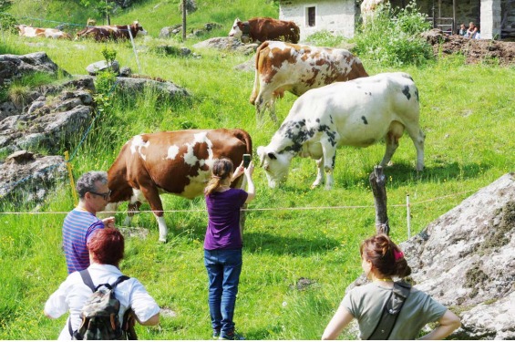 MASINO – Laura Lancerotto: l’importanza di promuovere in modo organico la nostra valle