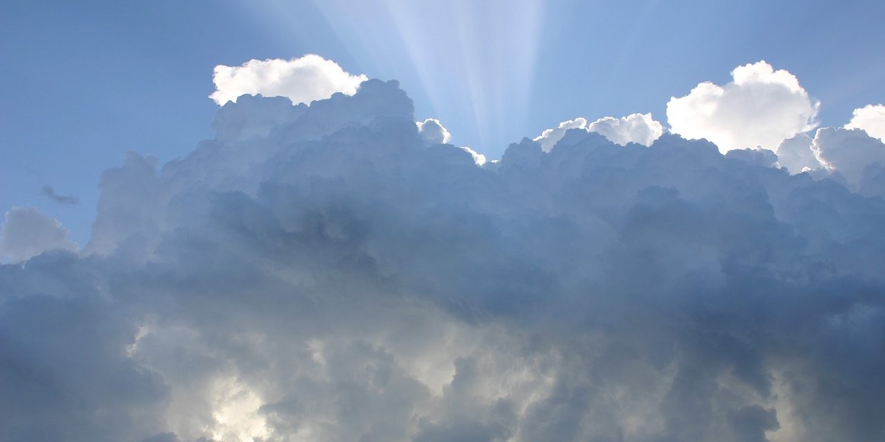 IMMAGINI DAL REGNO DEI CIELI – Commento al Vangelo di domenica 30 luglio