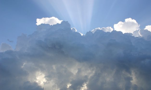 IMMAGINI DAL REGNO DEI CIELI – Commento al Vangelo di domenica 30 luglio