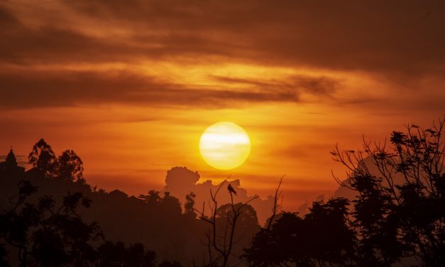 PILLOLE DI MISSIONARIETA’ – Uganda, luglio 2023; vedere Dio!