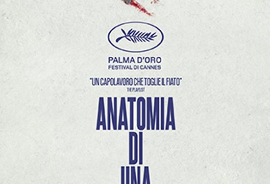 DIETRO LO SCHERMO (di Graziella Cortese) – Anatomia di una caduta