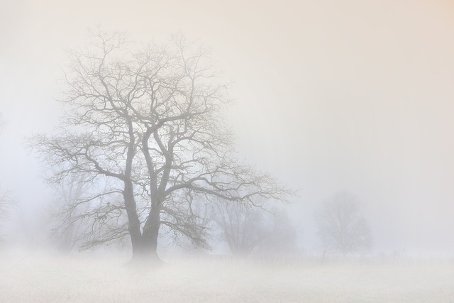 IL DITO NELLA PIAGA (di Fabrizio Dassano) – Arriva la nebbia che al mattino tutto cela