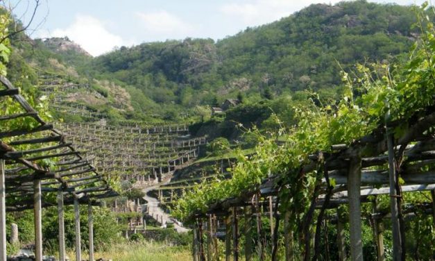 CANAVESE – Gli appuntamenti del weekend
