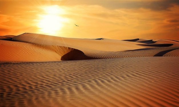 La voce nel deserto – Commento al Vangelo di domenica 10 dicembre