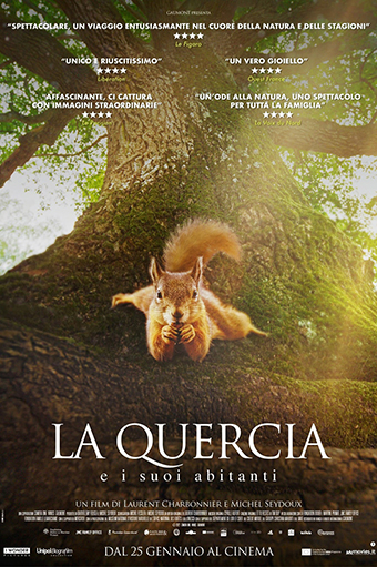 DIETRO LO SCHERMO (di Graziella Cortese) – La quercia e i suoi abitanti