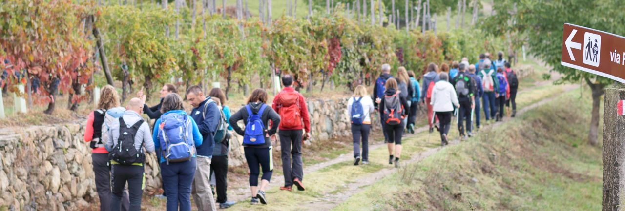 CANAVESE – Appuntamenti del weekend