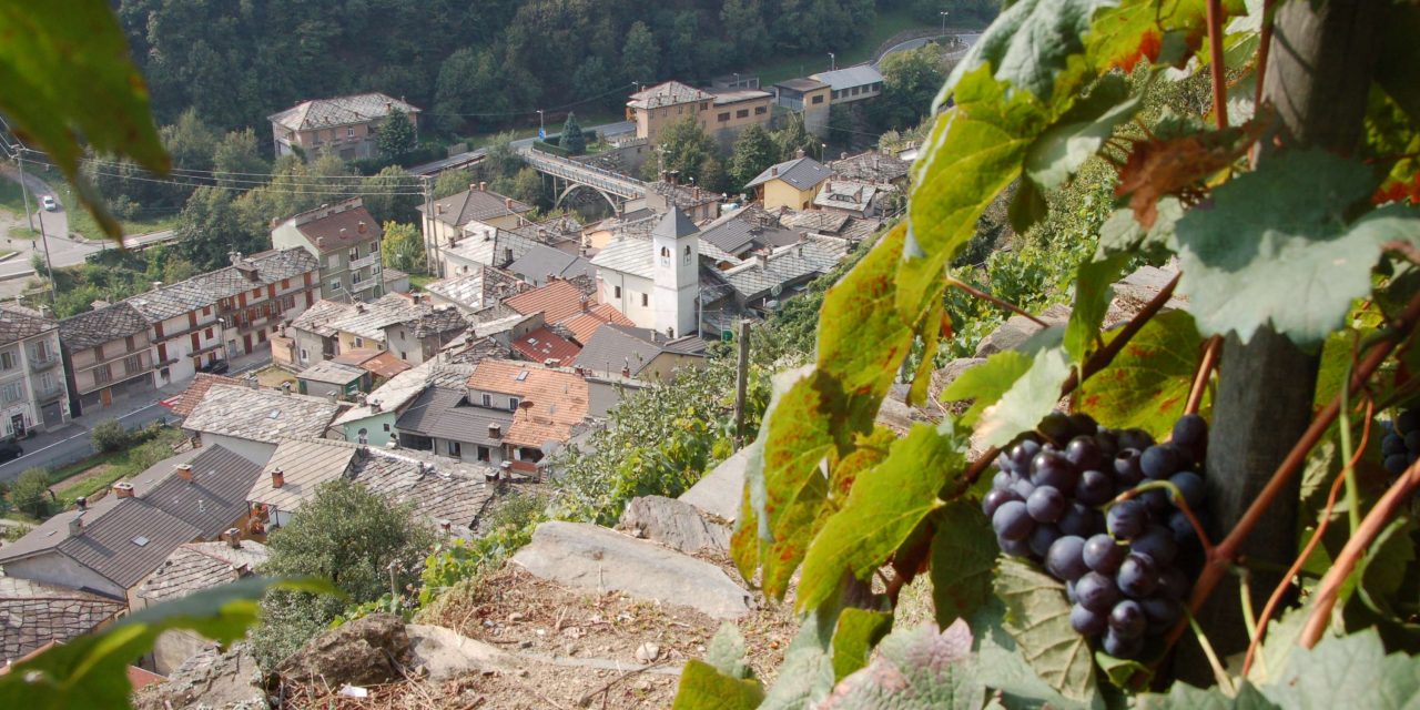 CONSERVARE E VALORIZZARE I PAESAGGI VITICOLI ALPINI – Uno studio del Politecnico promosso dalla città Metropolitana di Torino
