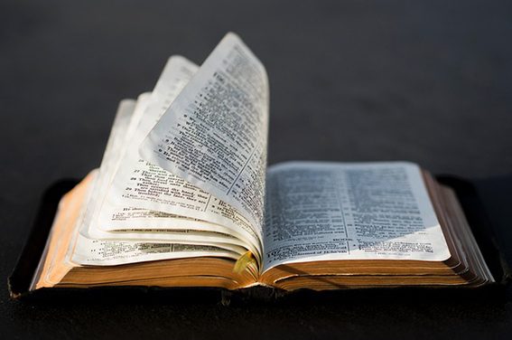 Guida, Signore, i nostri passi – Commento al Vangelo di domenica 2 marzo (di Elisa Moro)