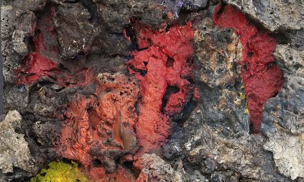 TORRE CANAVESE – Inaugurazione Mostra “Natura Arte-Fatta” con opere di Biagio Vellano