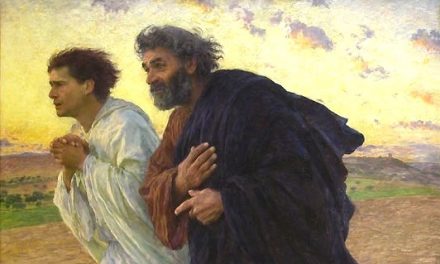 PAROLA DI DIO – – ” E vide e credette ” –
