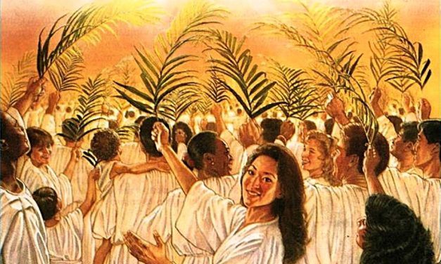 PAROLA DI DIO – “E Dio asciugherà ogni lacrima dai loro occhi” –
