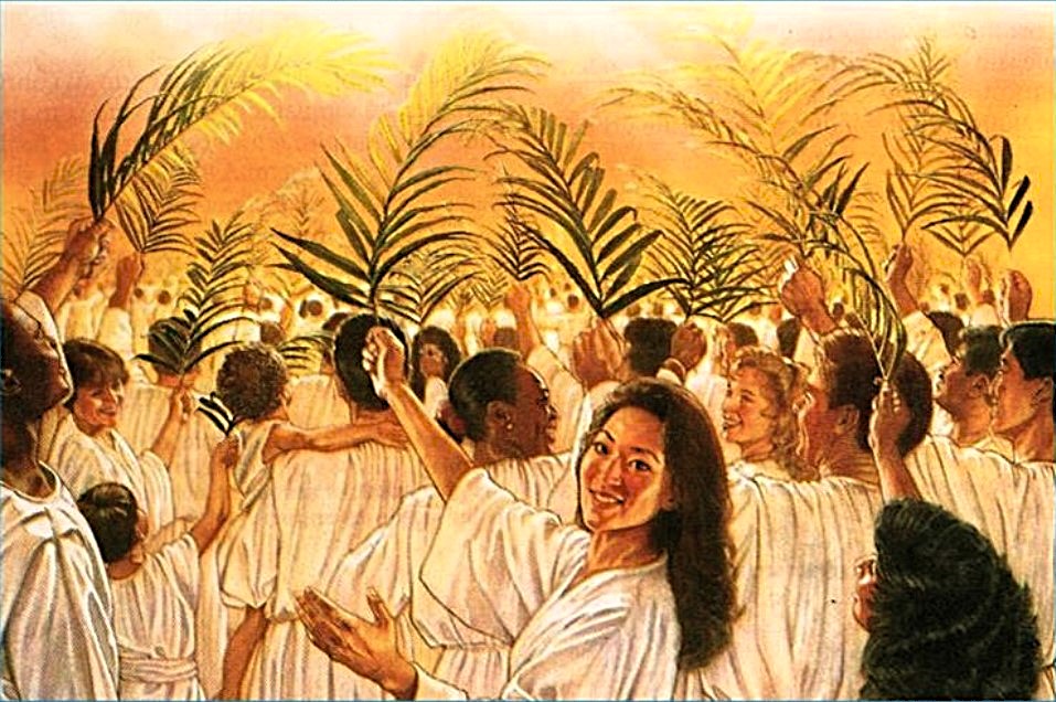 PAROLA DI DIO – “E Dio asciugherà ogni lacrima dai loro occhi” –