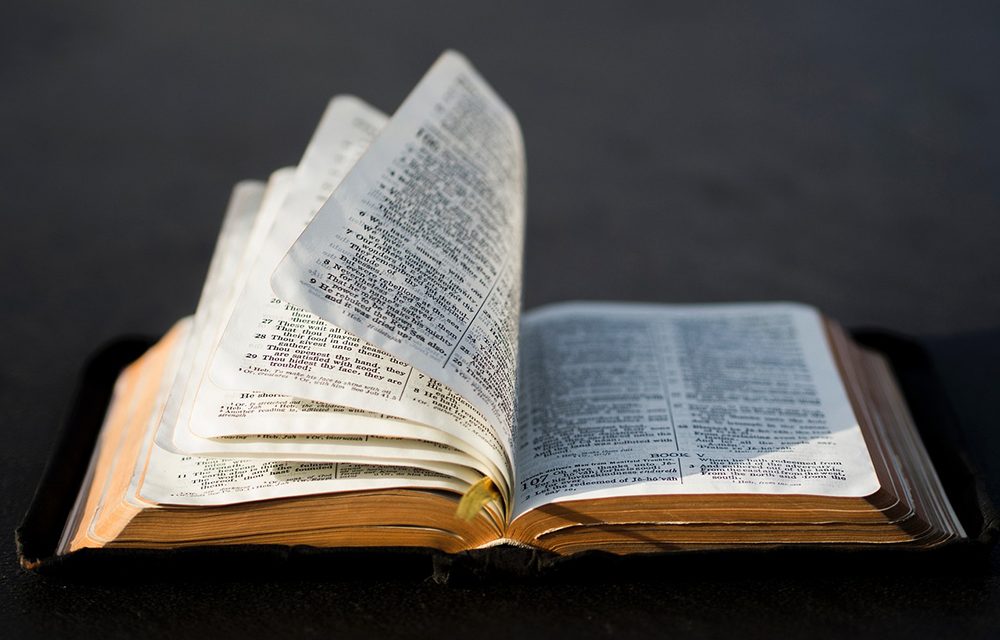 Cristo non ci invita, ma ci comanda di amarci gli uni gli altri – Commento al Vangelo di domenica 18 maggio (di don Renzo Gamerro)